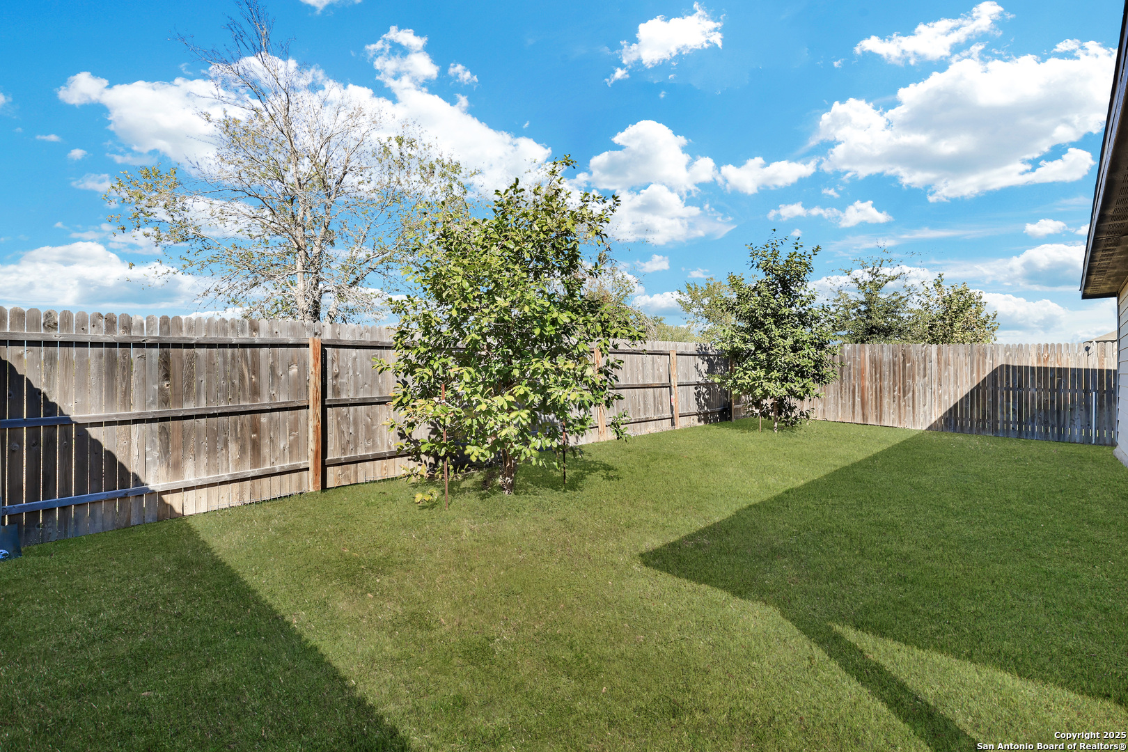 3168 Junction Bay Converse, TX 78109 - Photo 25 of 26 a view of backyard with green space