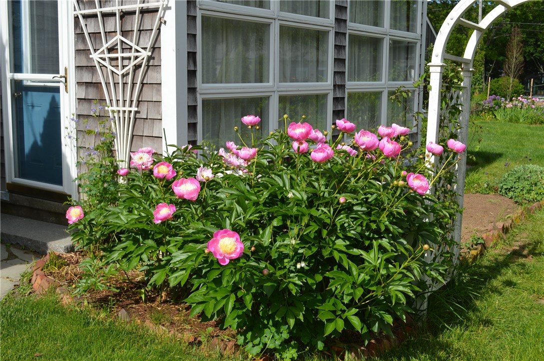 5 Coggeshall Street Warren, RI 02885 - Photo 2 of 16 Gallery Image 2
