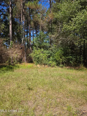 $250,000 | 2862 Wallace Drive Southwest, Bogue Chitto, MS 39629