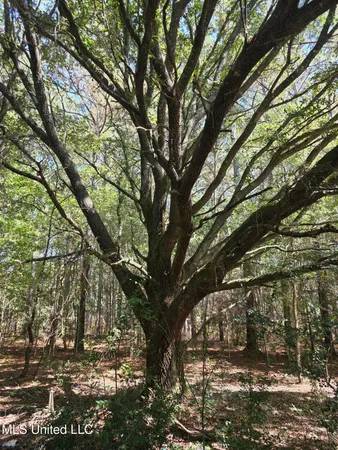 $225,000 | 2862 Wallace Drive Southwest, Bogue Chitto, MS 39629