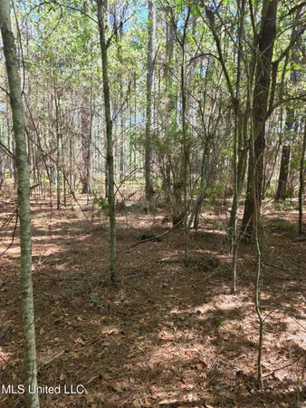 $225,000 | 2862 Wallace Drive Southwest, Bogue Chitto, MS 39629