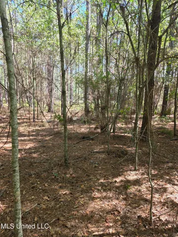 $250,000 | 2862 Wallace Drive Southwest, Bogue Chitto, MS 39629