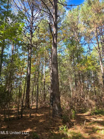 $225,000 | 2862 Wallace Drive Southwest, Bogue Chitto, MS 39629