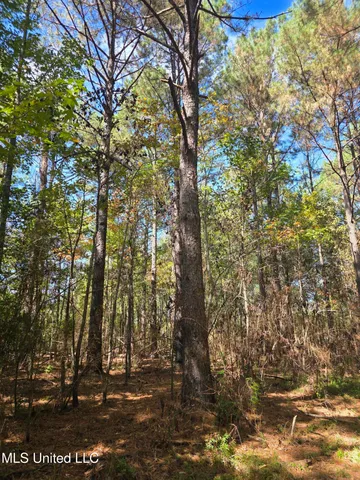 $250,000 | 2862 Wallace Drive Southwest, Bogue Chitto, MS 39629