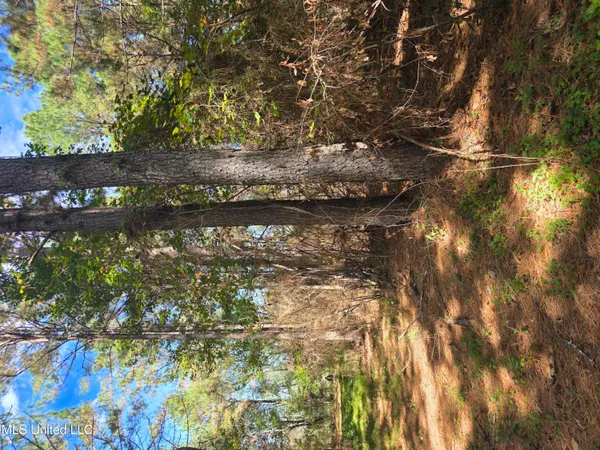 $225,000 | 2862 Wallace Drive Southwest, Bogue Chitto, MS 39629