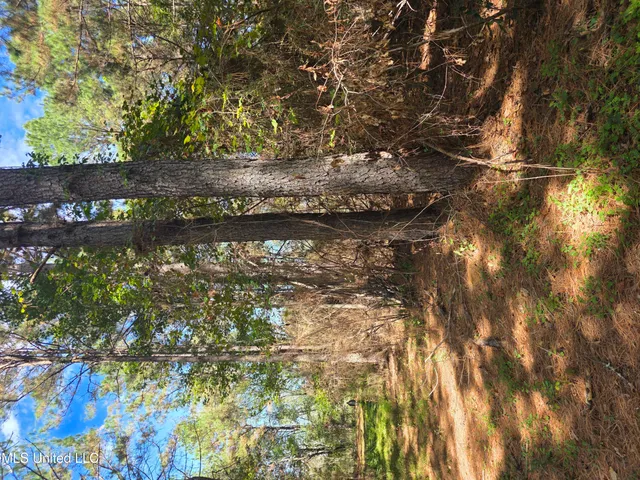 $250,000 | 2862 Wallace Drive Southwest, Bogue Chitto, MS 39629