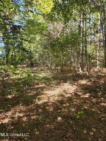 $250,000 | 2862 Wallace Drive Southwest, Bogue Chitto, MS 39629