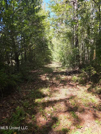 $225,000 | 2862 Wallace Drive Southwest, Bogue Chitto, MS 39629
