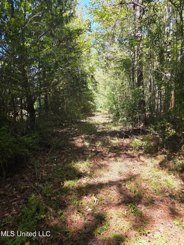 $250,000 | 2862 Wallace Drive Southwest, Bogue Chitto, MS 39629