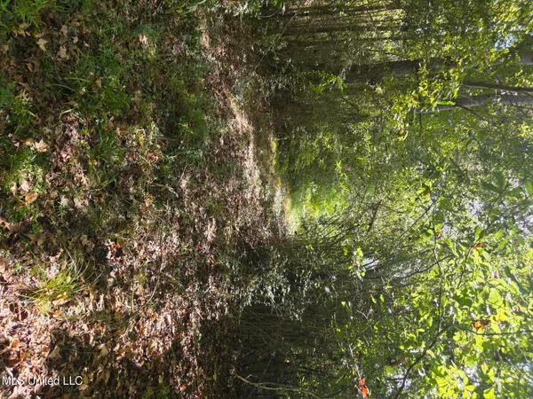 $225,000 | 2862 Wallace Drive Southwest, Bogue Chitto, MS 39629