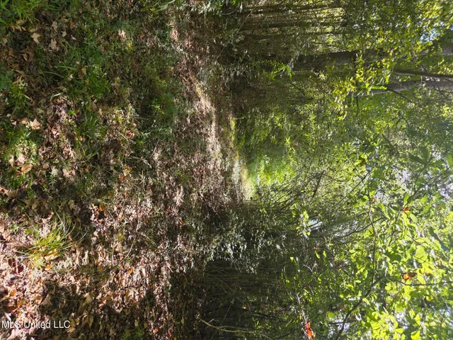 $250,000 | 2862 Wallace Drive Southwest, Bogue Chitto, MS 39629