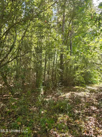 $225,000 | 2862 Wallace Drive Southwest, Bogue Chitto, MS 39629