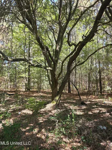 $250,000 | 2862 Wallace Drive Southwest, Bogue Chitto, MS 39629