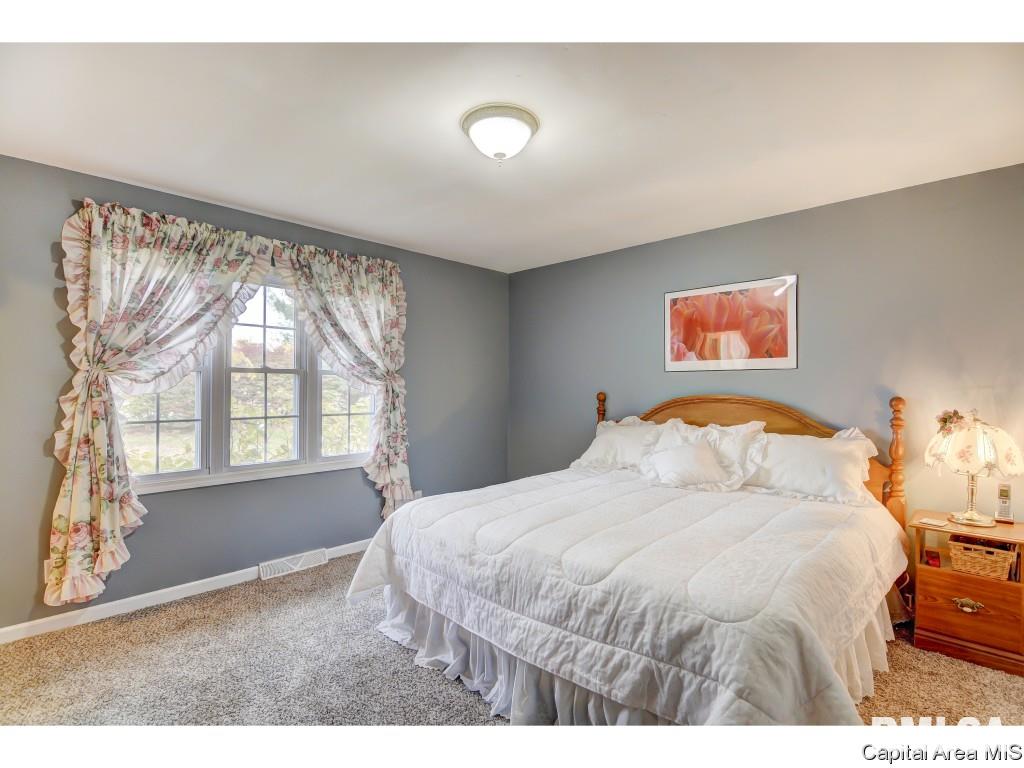 4880 KOA Road Rochester, IL 62563 - Photo 15 of 31