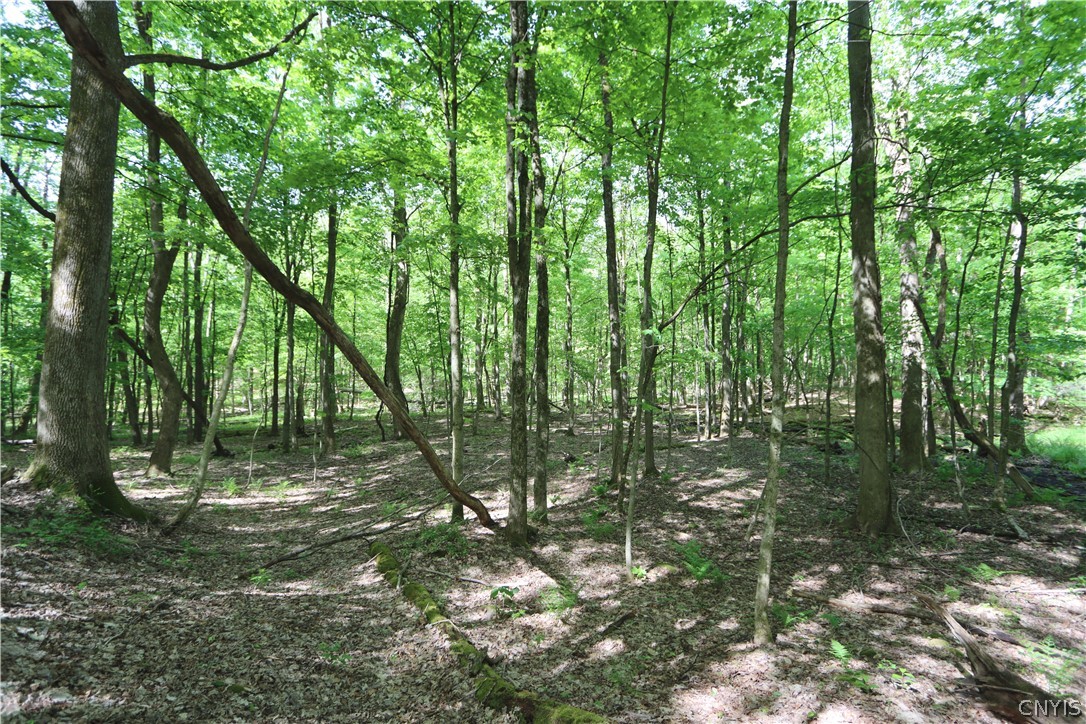 175 Bremm Road Boylston, NY 13083 - Photo 23 of 30