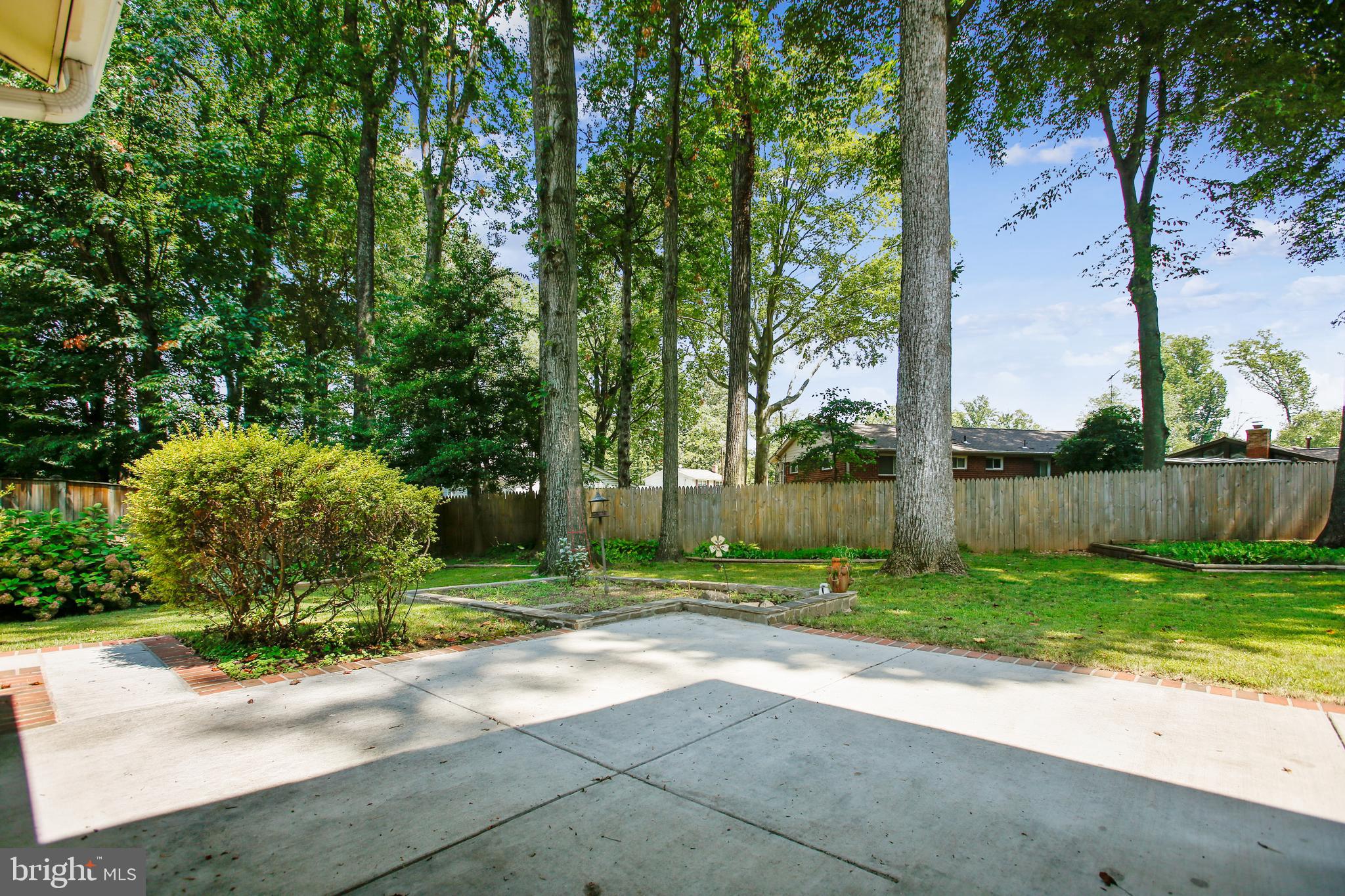 5253 Rolling Road Springfield, VA 22151 - Photo 35 of 46 $4K in tree work done i 2020