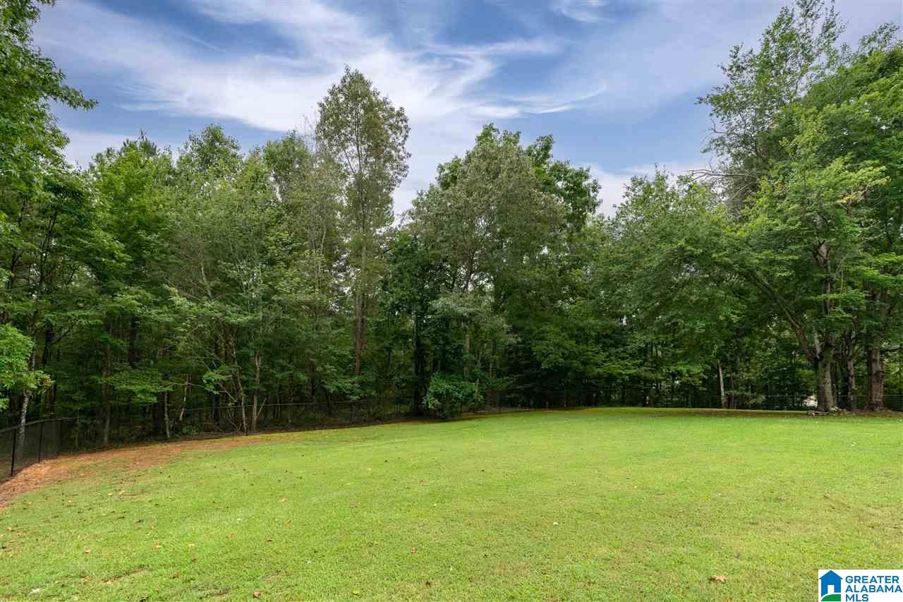 425 Slopes Drive Springville, AL 35146 - Photo 48 of 50