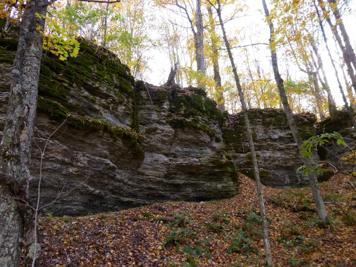 Brevort Lake Road Moran, MI 49760 - Photo 13 of 13 Gallery Image 13