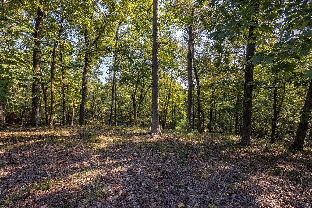 172-6 Almond Ridge Drive Fortson, GA 31808 - Photo 35 of 52 a view of a forest with trees in the background