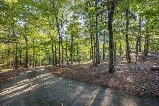 a view of a house with backyard and a tree