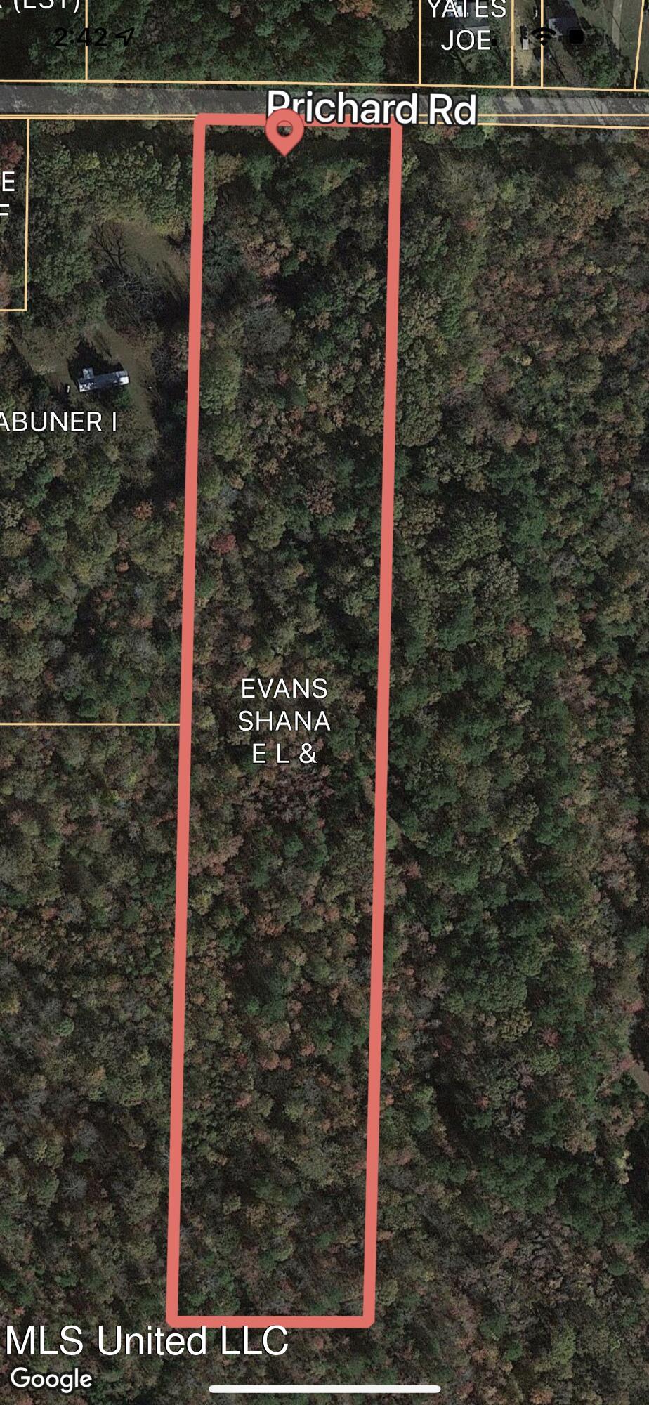 6 Prichard Road Coldwater, MS 38618 - Photo 7 of 7 70E39E02-31CB-46EA-95C5-7B57DD61B1D1