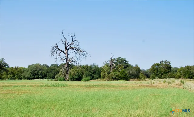$115,000 | Lot 3 Harvell Lane, Schulenburg, TX 78956