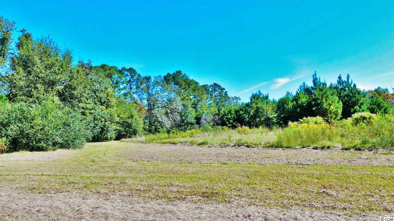 357 West County Line Road Johnsonville, SC 29555 - Photo 22 of 25