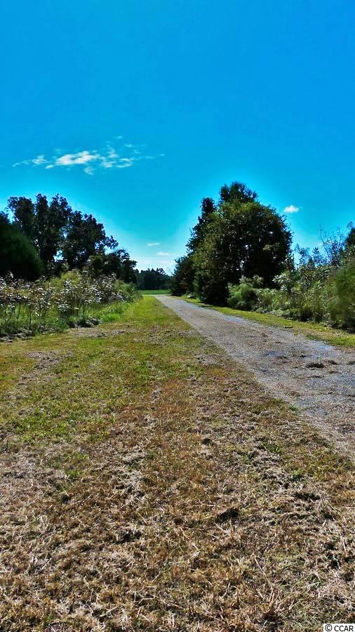 357 West County Line Road Johnsonville, SC 29555 - Photo 23 of 25