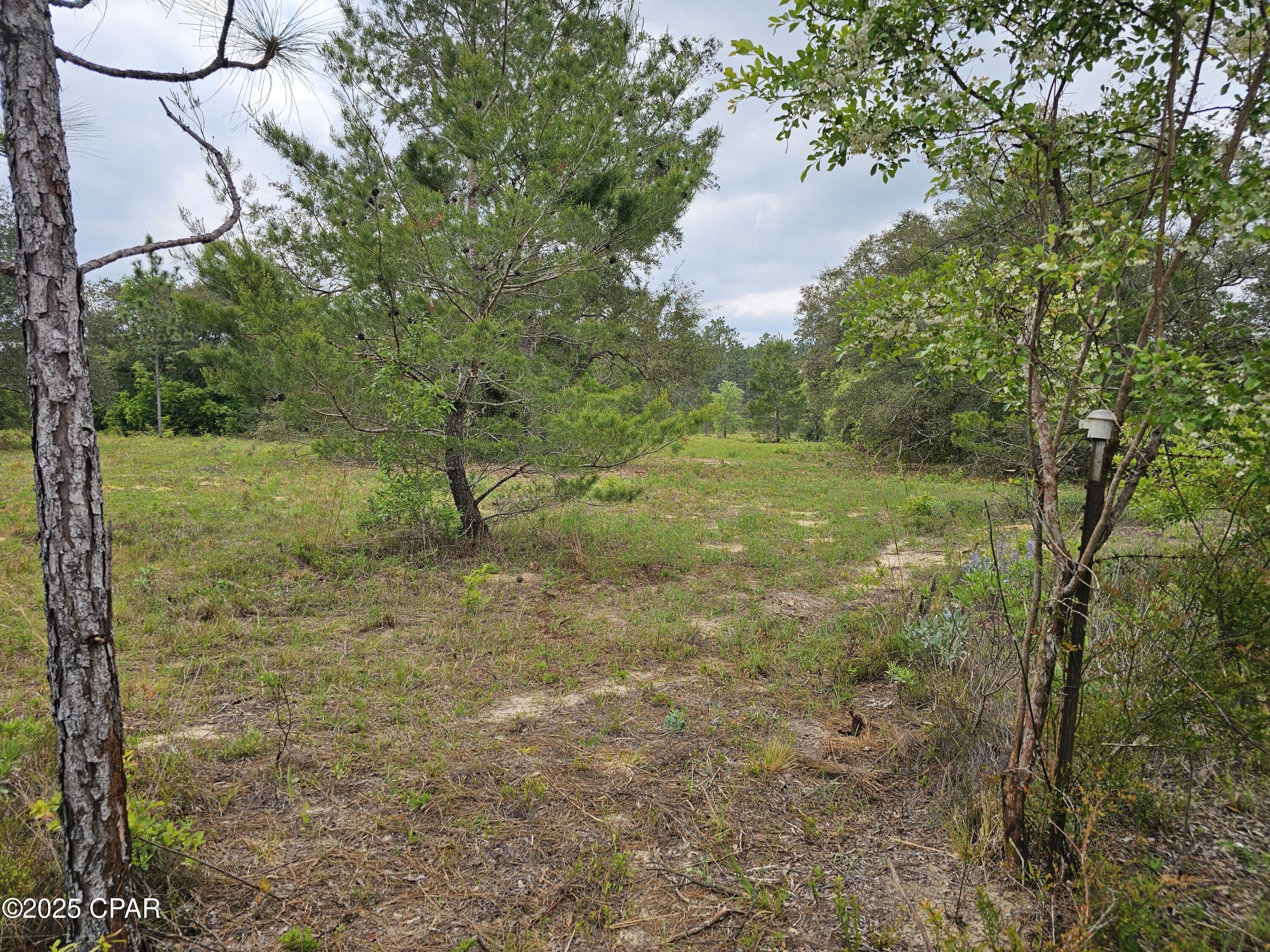 0 Sand Pond Road Chipley, FL 32428 - Photo 1 of 10 Gallery Image 1
