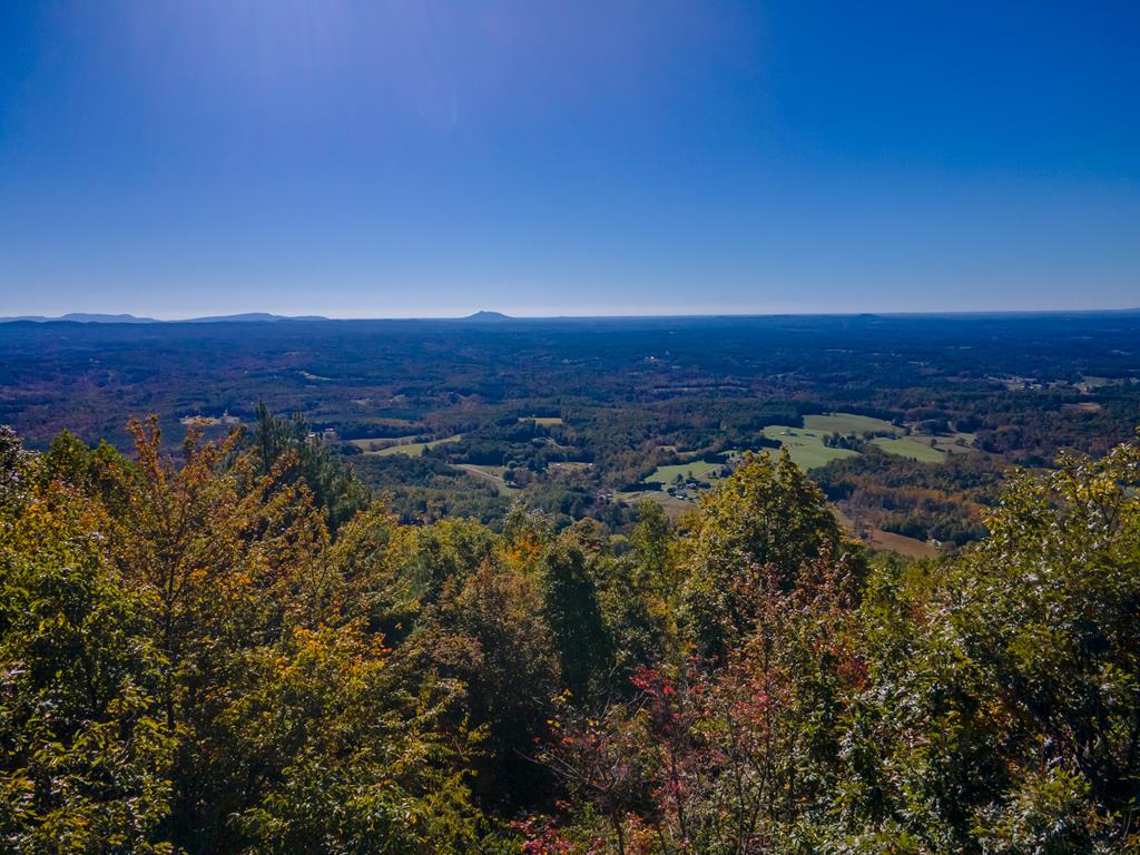 Lot 93 Reflections Point Trail, Unit 93 Fancy Gap, VA 24328 - Photo 1 of 92 Gallery Image 1