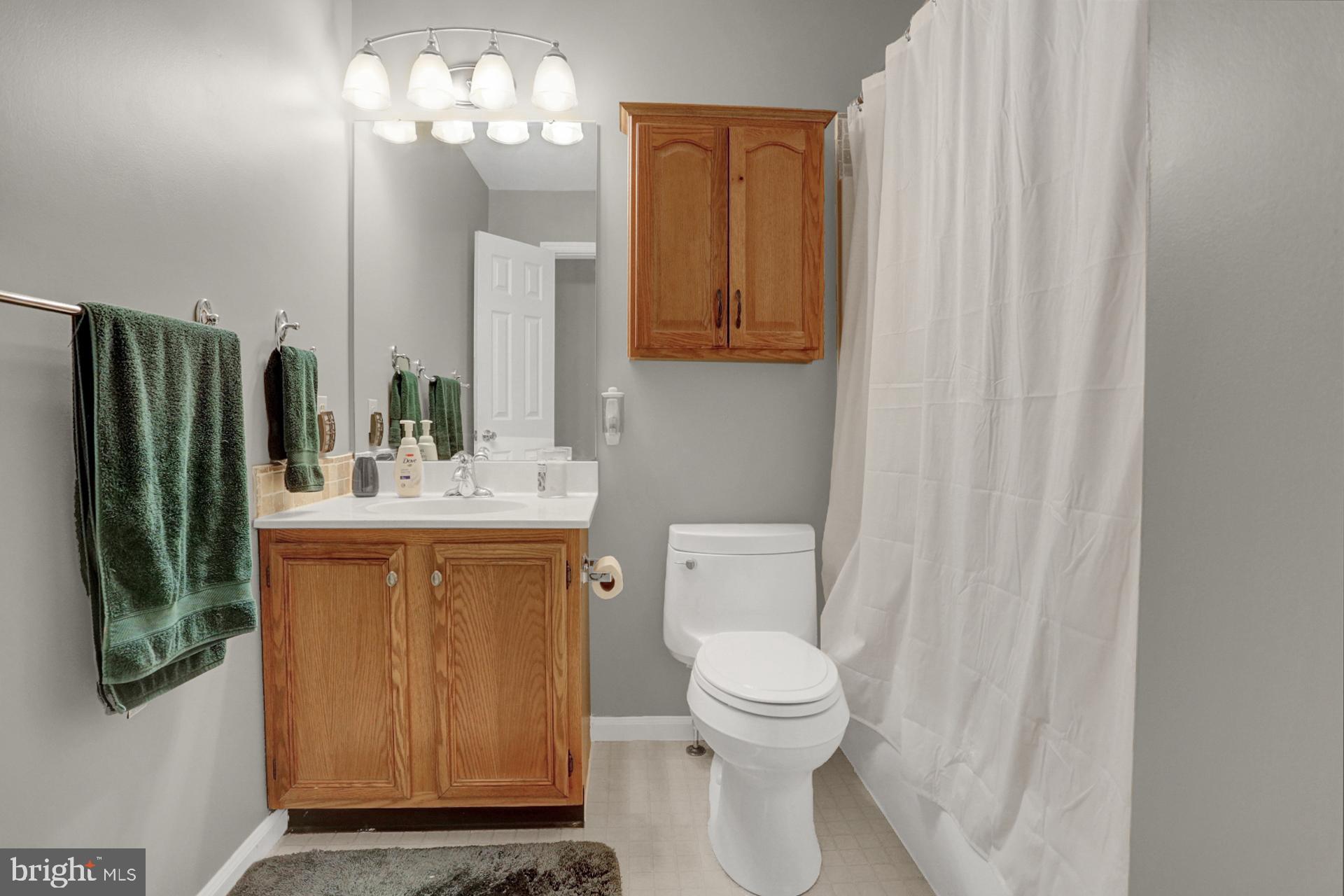 805 Old Fritztown Road Reading, PA 19608 - Photo 17 of 29 Master Full Bath