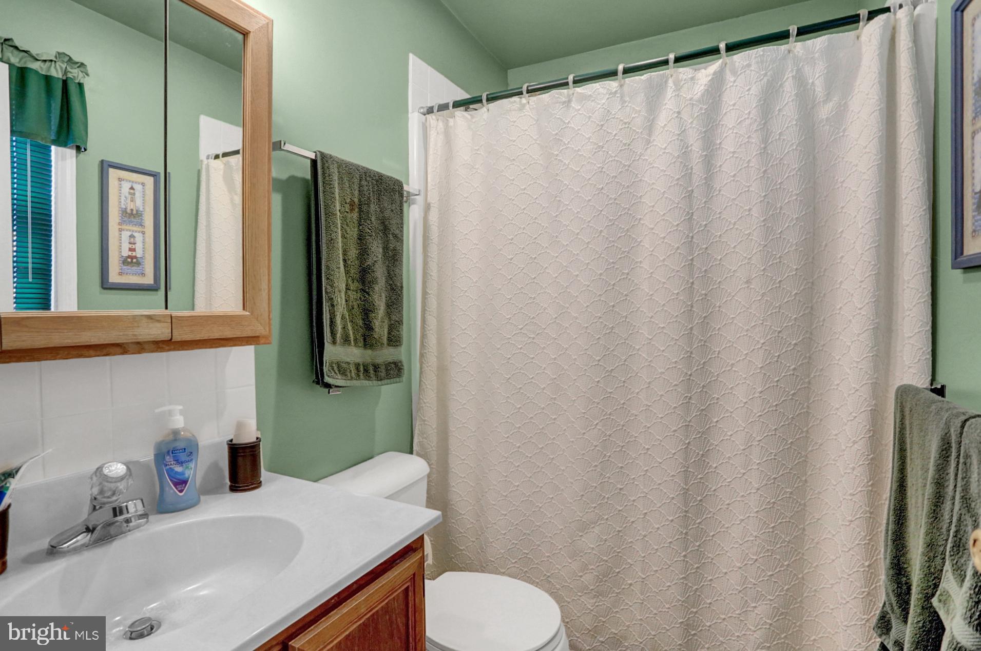 805 Old Fritztown Road Reading, PA 19608 - Photo 21 of 29 Hallway Full Bath