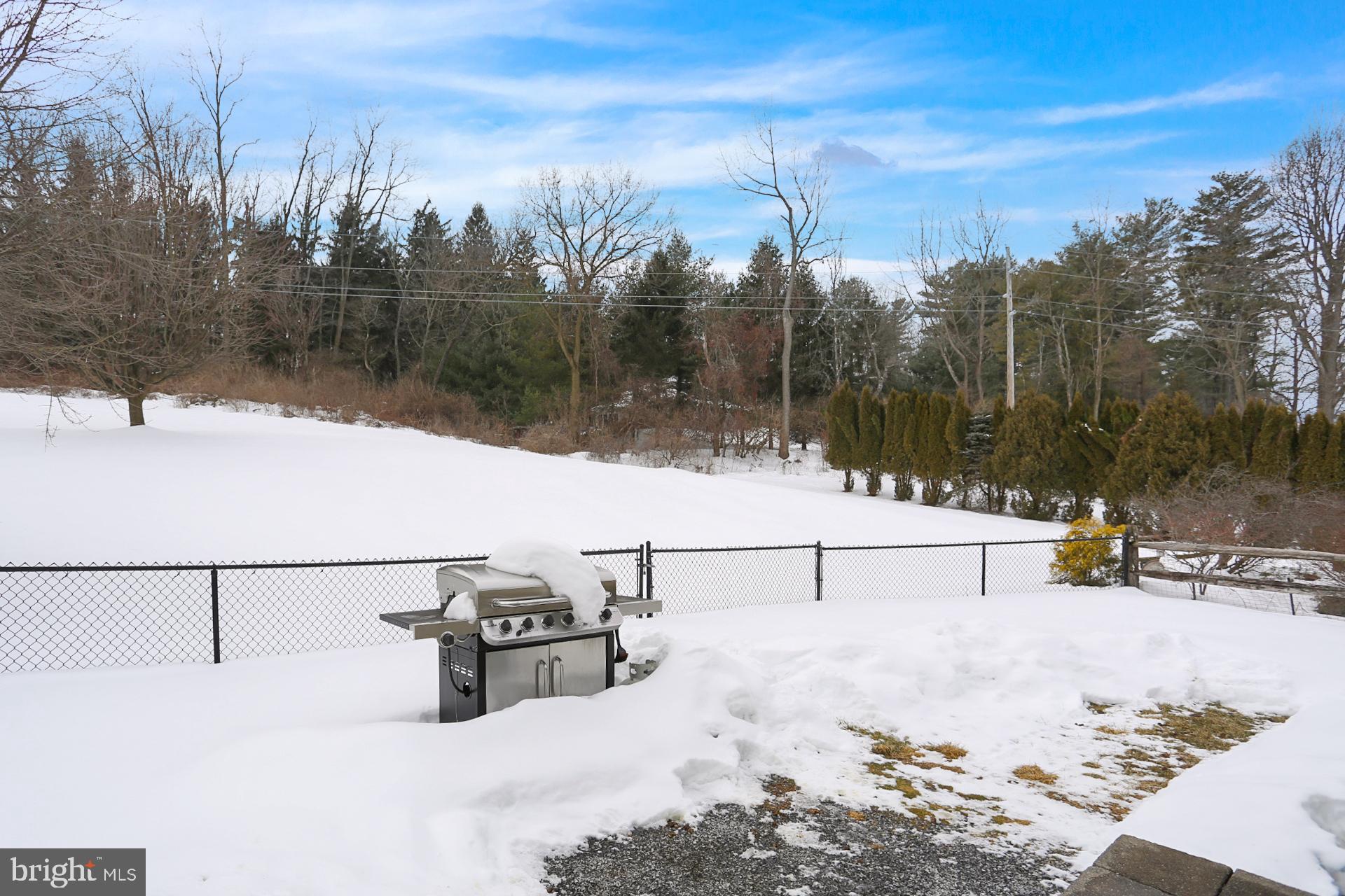 805 Old Fritztown Road Reading, PA 19608 - Photo 25 of 29 backyard