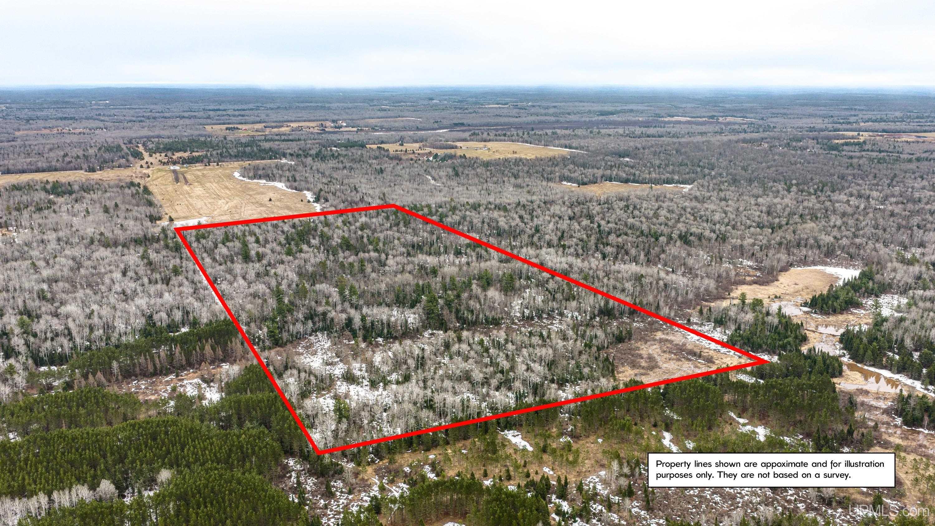 Tbd Off Of Choate Road, Unit NO INSURABLE LEGAL ACCESS Ewen, MI 49925 - Photo 2 of 30