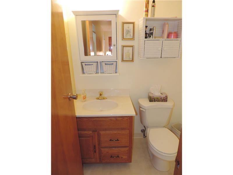156 Ridgewood Road Pittsburgh, PA 15237 - Photo 20 of 25 Master Bath/Spa.