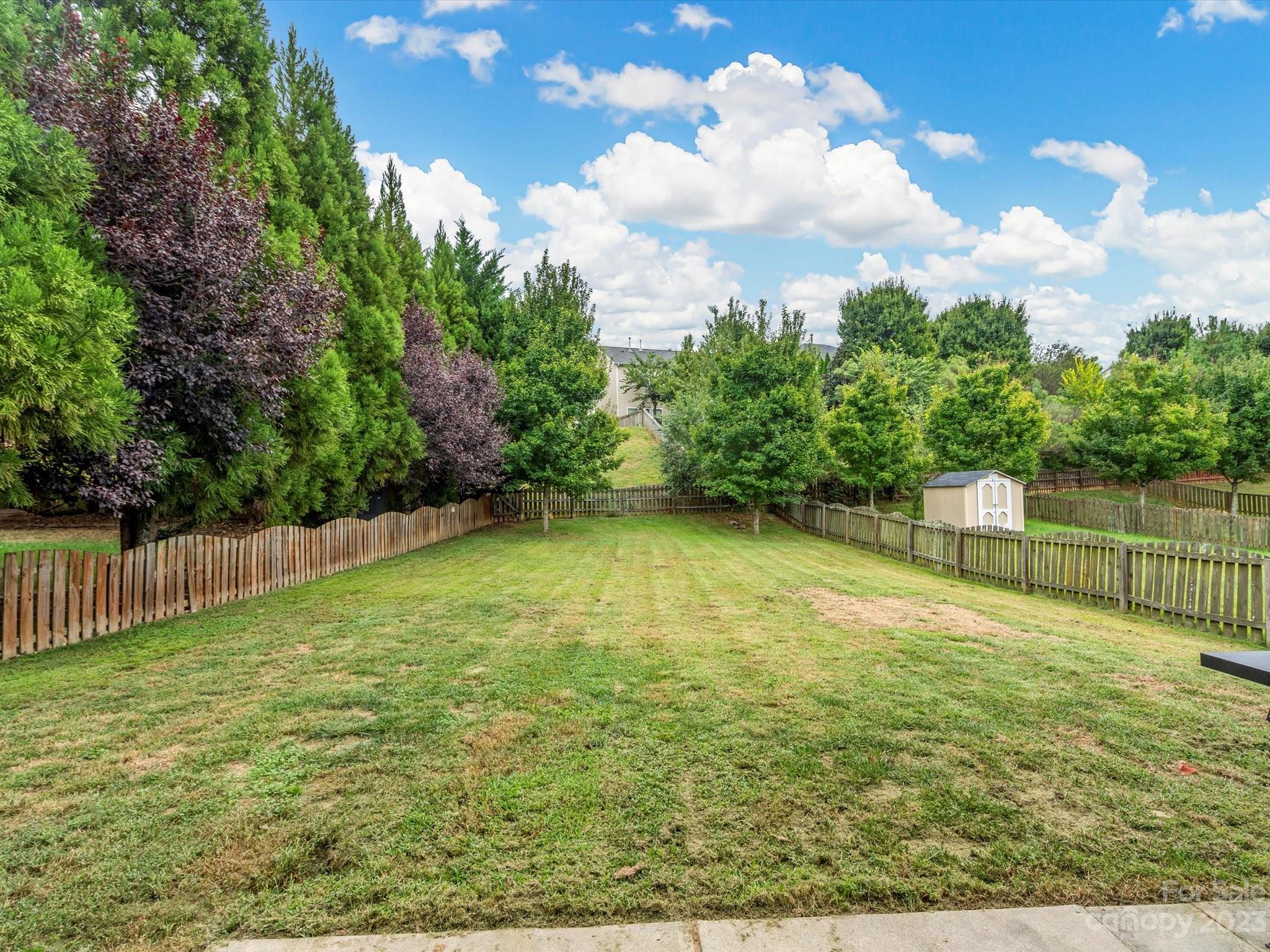 9300 Seamill Road Charlotte, NC 28278 - Photo 25 of 28 a view of a yard with large tree