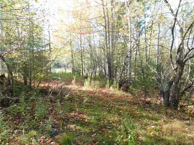 0 East Road Cadyville, NY 12918 - Photo 11 of 12 Gallery Image 11