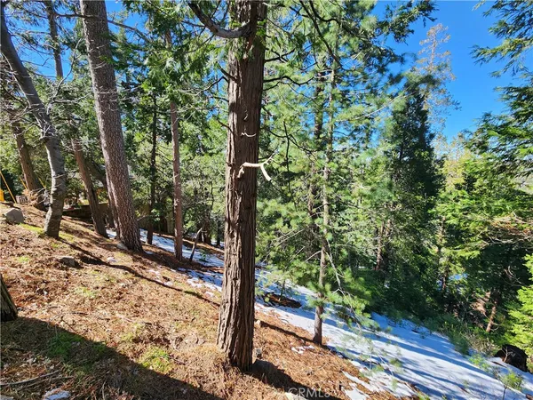 $25,000 | 26236 Boulder Lane, Twin Peaks, CA 92391