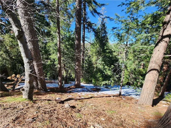 $25,000 | 26236 Boulder Lane, Twin Peaks, CA 92391