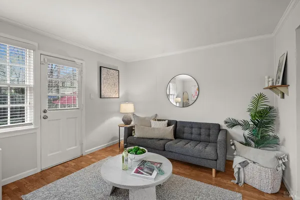 a living room with furniture a window and a potted plant