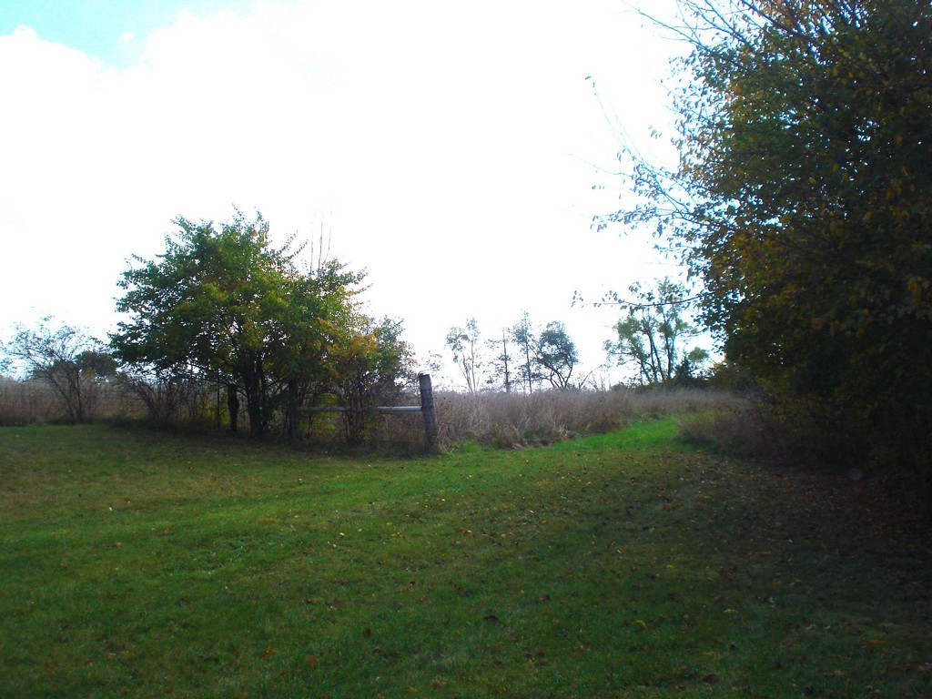 27125 North Williams Park Road Wauconda, IL 60084 - Photo 9 of 19 a view of a big yard with plants and large trees