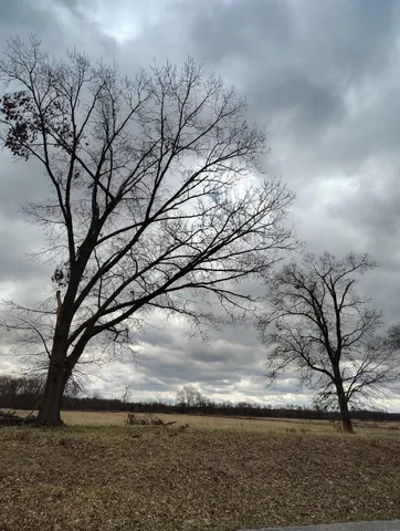 $24,900 | 0 Pine Street, Knox, IN 46534