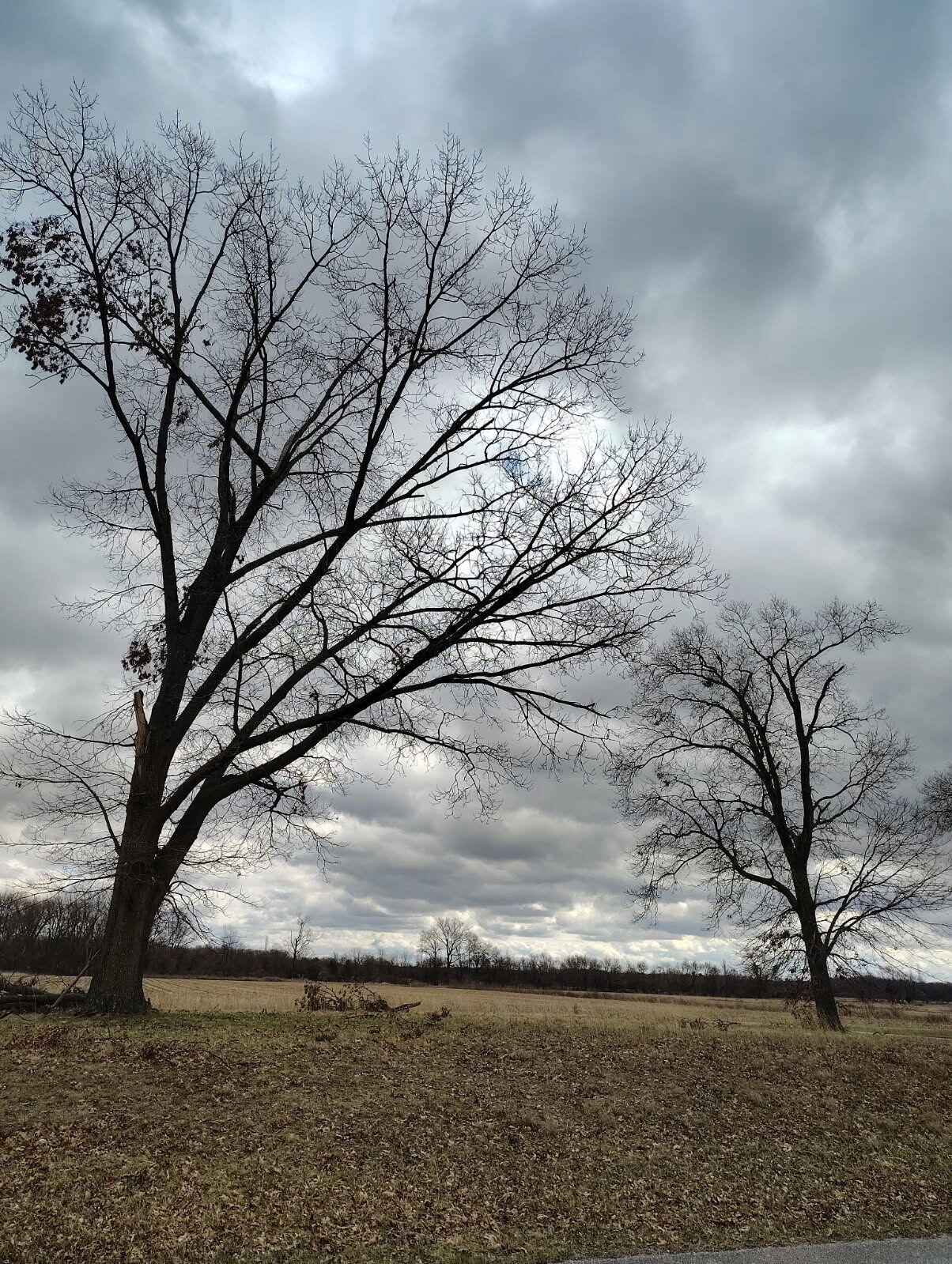 0 Pine Street Knox, IN 46534 - Photo 2 of 2 1204x1599
