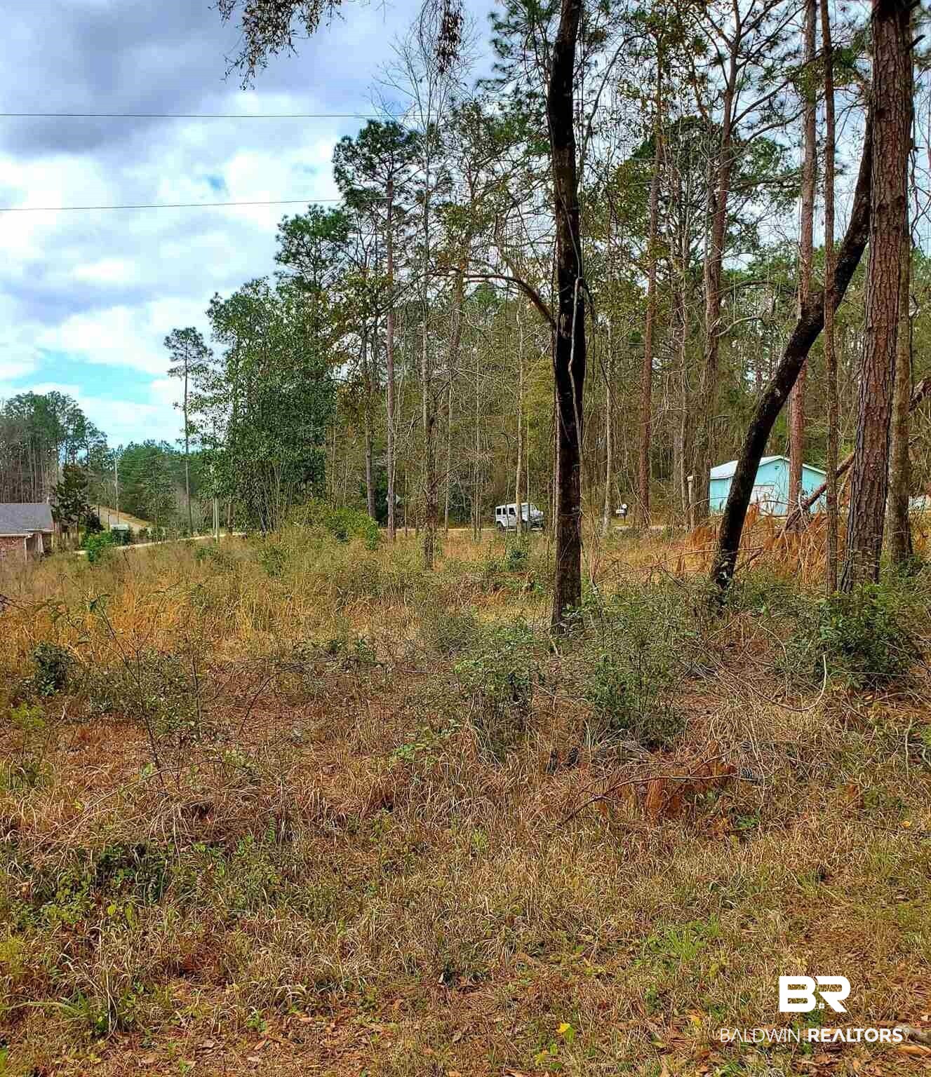 0 Jenkins Farm Road Loxley, AL 36551 - Photo 2 of 3