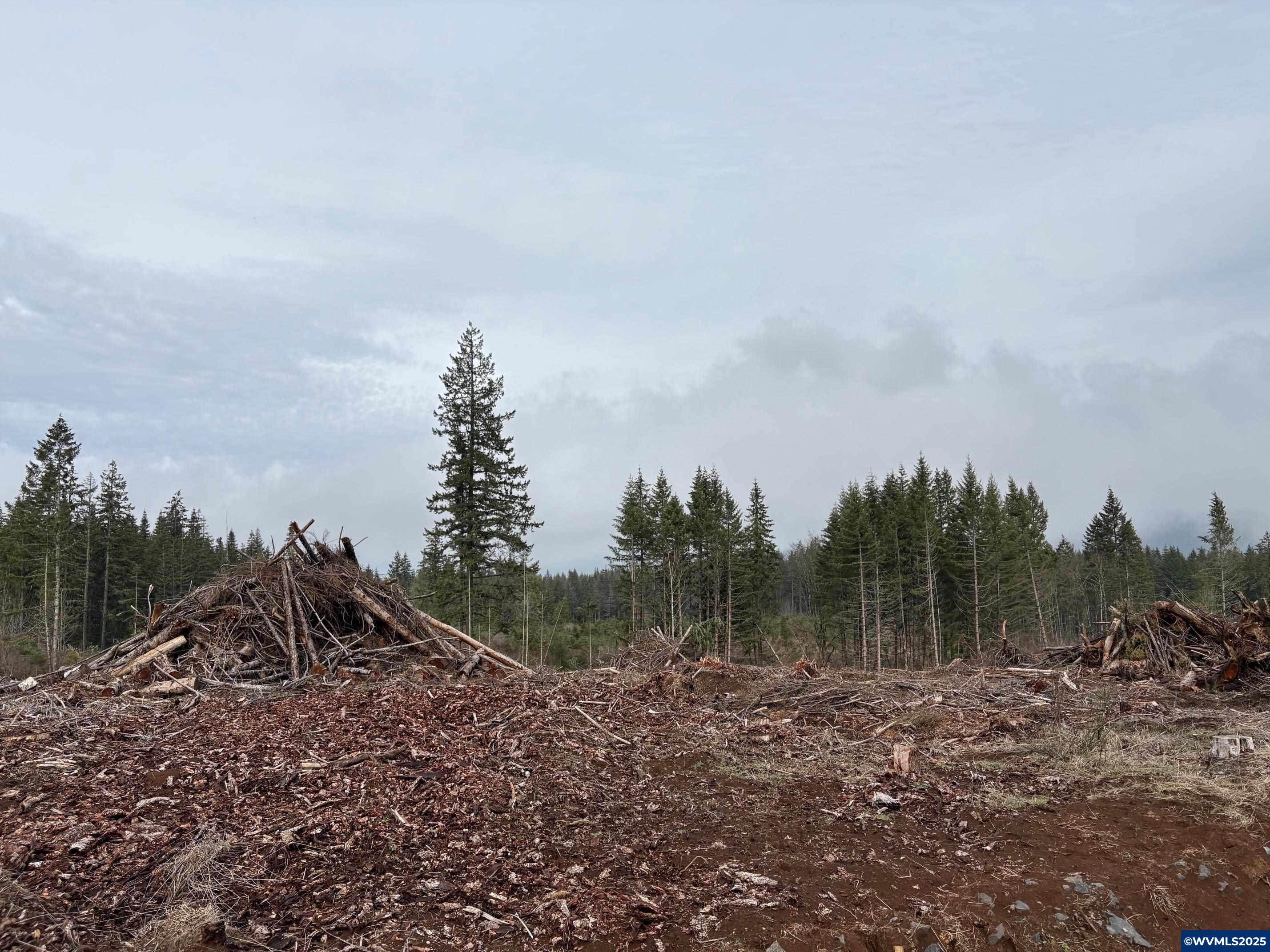 0 South Hardy Road Molalla, OR 97038 - Photo 8 of 26