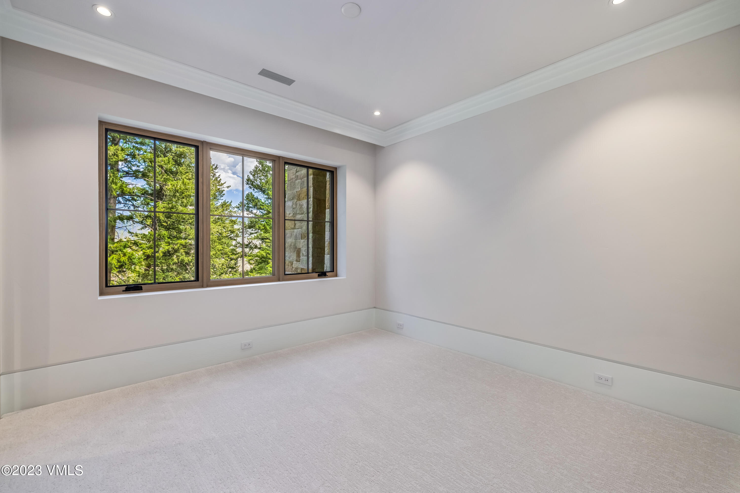335 Elkhorn Avon, CO 81620 - Photo 58 of 73 an empty room with windows