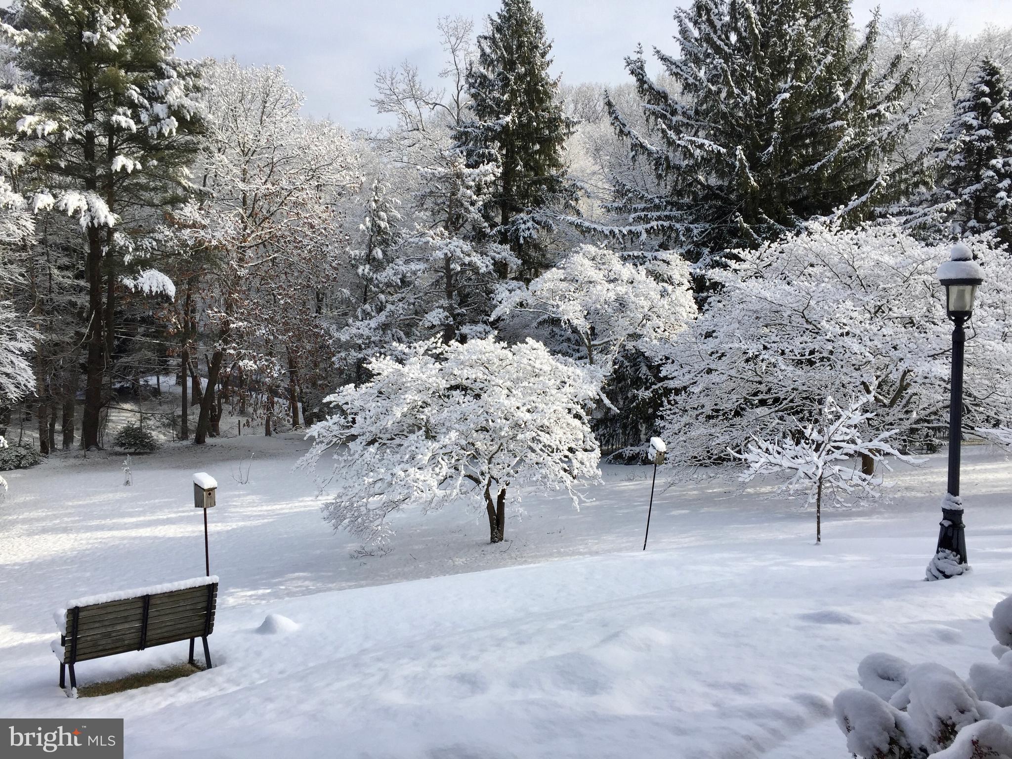 358 Ring Road Chadds Ford, PA 19317 - Photo 73 of 78 Picturesque in the winter