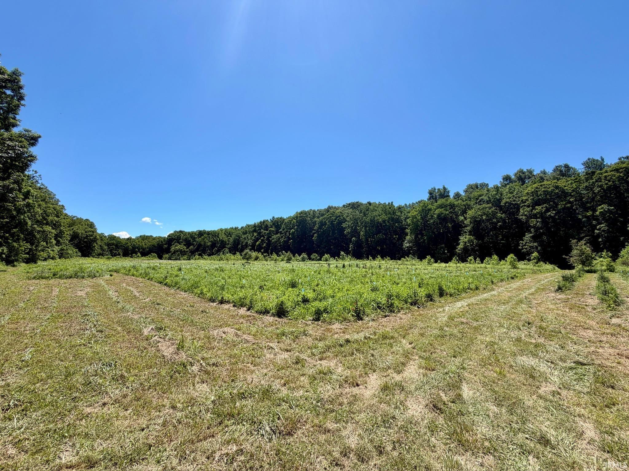 Tbd Newark Road Solsberry, IN 47459 - Photo 23 of 28