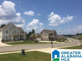810 Madison Lane Helena, AL 35080 - Photo 24 of 24