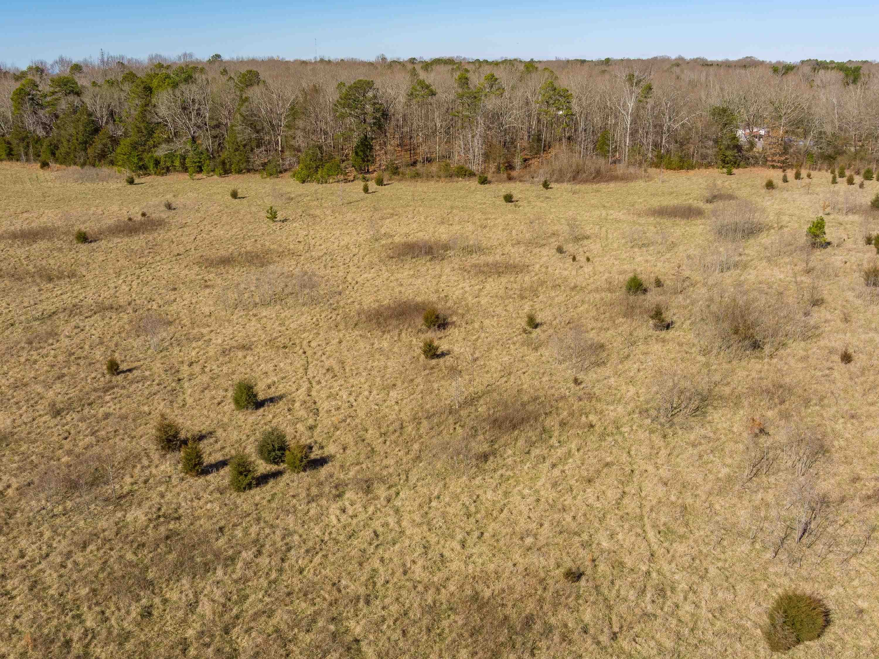 948 Rocky Ridge Road Enoree, SC 29335 - Photo 13 of 23